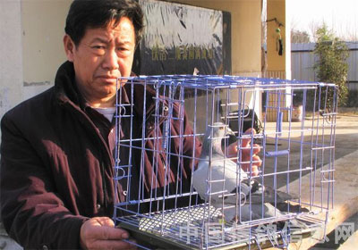 ����������߹�500����ͼƬ��ʵ