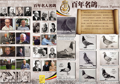 ����KBDB�������� ���������Ļ�(�������Ƭ)