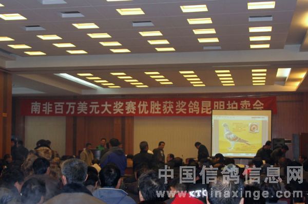 �Ϸǰ�����Ԫ������ʤ������չ�Ļ�(ͼ)