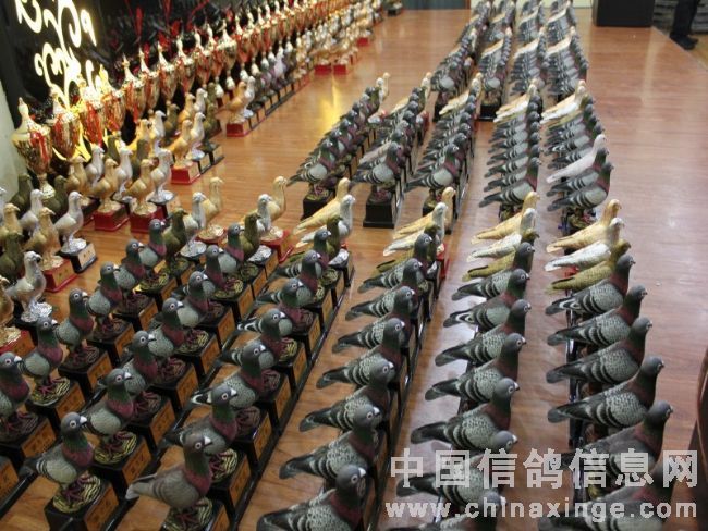 2010ͨ�����Ÿ�Э���ܽ��߱��û᳡�澫��