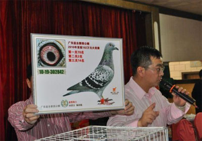 �㶫��ȫ����佱������(ͼ)