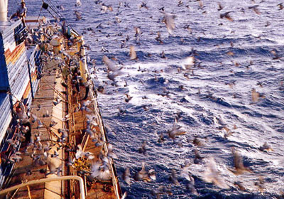 ̨�庣��6�����������˼����