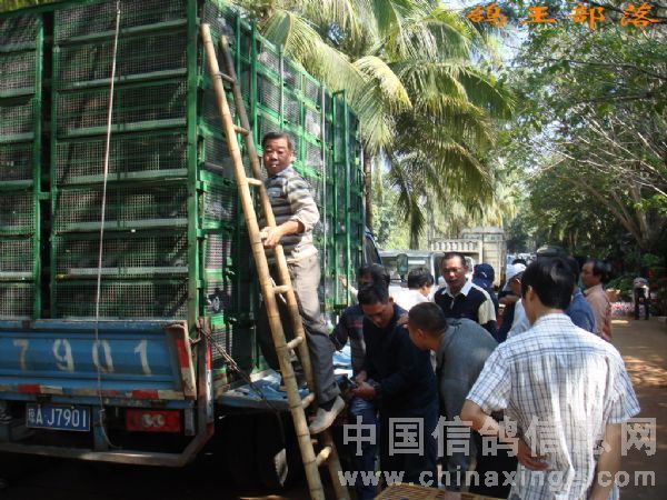 ����ʡ��Эȫʡ���輯�ả��(ͼ)