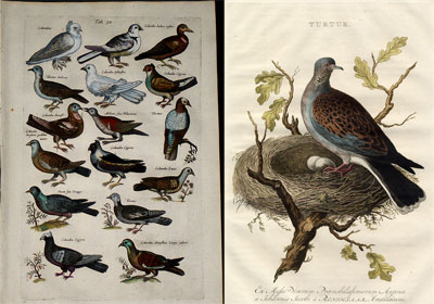 354��ǰ�ĸ���(ͼ)