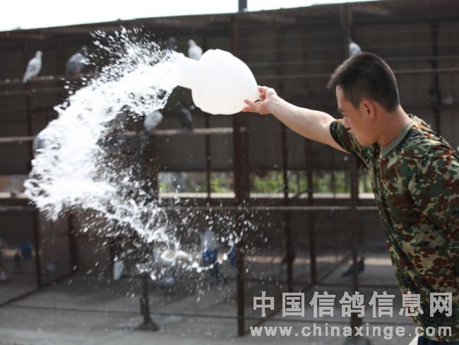 2010����������ʮ��˲��(ͼ)