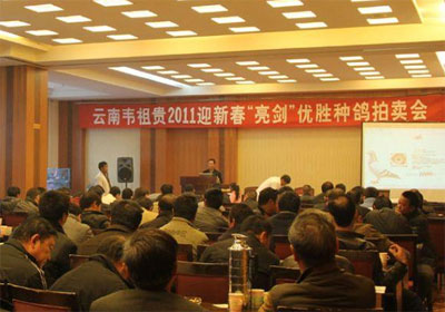 1��23�������´���������������(ͼ)