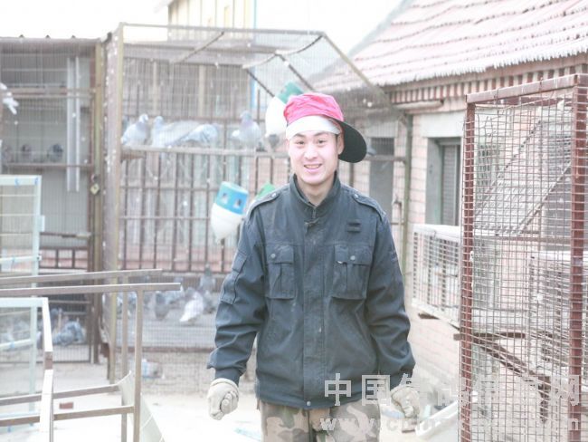 �������������(ͼ)