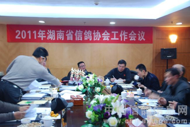 ����ʡ��Э�ٿ�2011�꾺����������(ͼ)