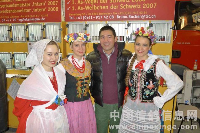 2011���32�첨������ƥ�˴�������(ͼ)