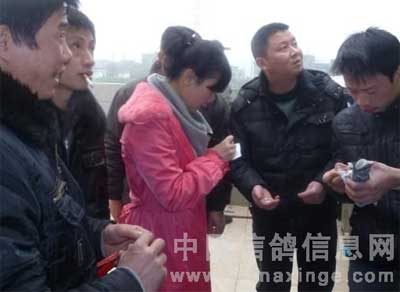 Ȥζ����������(ͼ)