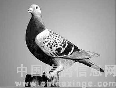 ͼ˵����֮����ɫ���꾫��