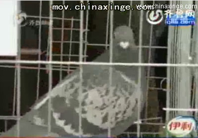 ���ӻ᣺�Ϻ��رȹھ�Ҫ��30��(ͼ)