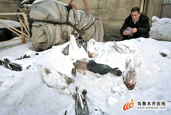 86��뱻��ɱһ�� �����������(ͼ)