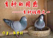 ���ֵ����󡪡����ֻ���֮һ(ͼ)