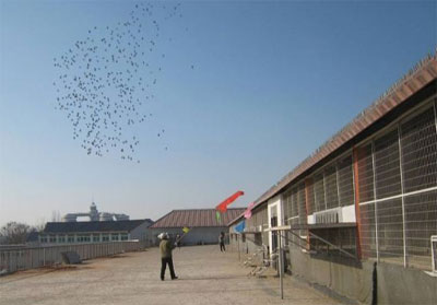 ���������λ����빫��ҷ�ͼ