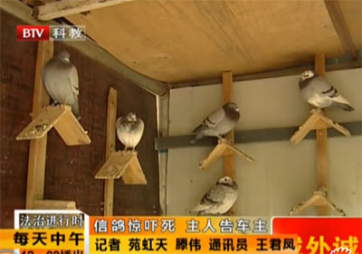 ���ν���ʱ���Ÿ뾪���� ״�泵������6ǧ(ͼ)