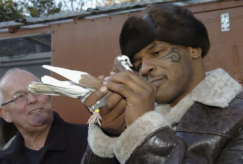 ȭ��̩ɭΪ���Ӱ��(ͼ)