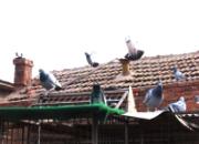 �����ӡ����ѽ����ܶ����