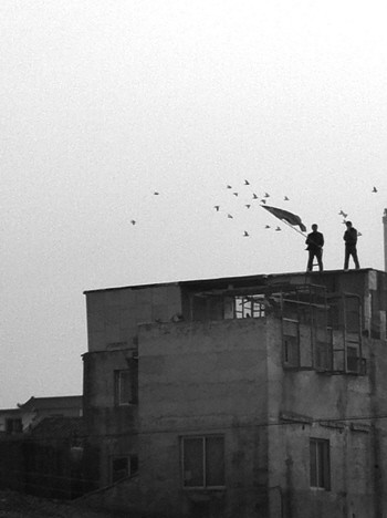 ��ҡ���С�������ѵ�뷨