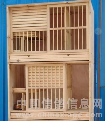 �ָ볲���н���