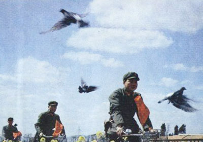 �� �� ��