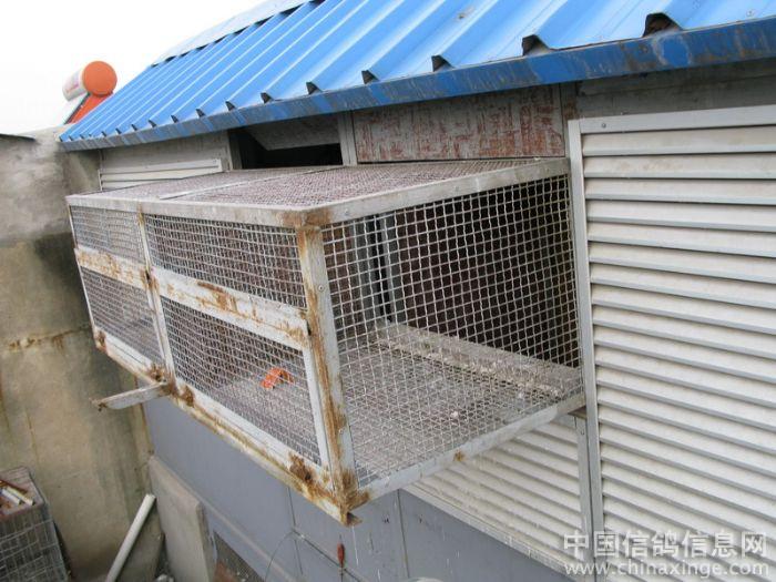 ���Ӵ�����������