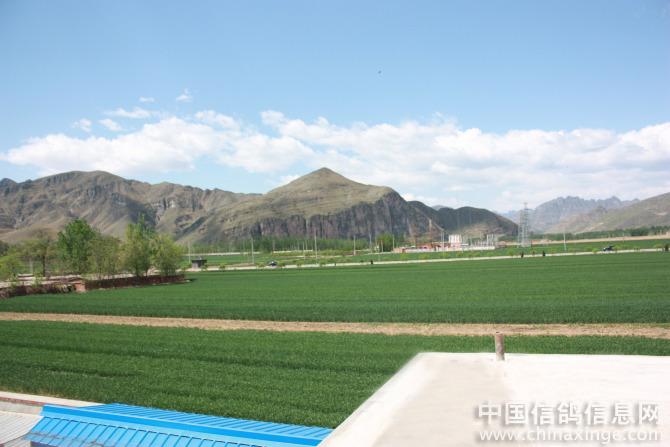 90����ѣ�������ϵĸ���(ͼ)