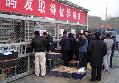 2011�괺���ŽǴ��� �����׳���������(ͼ)