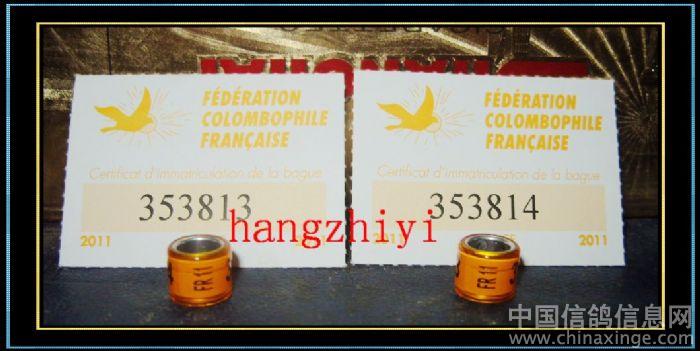 ŷ�޲��ֹ���2011���㻷����(ͼ)