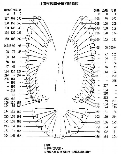 ���뽡��ָ��֮���������