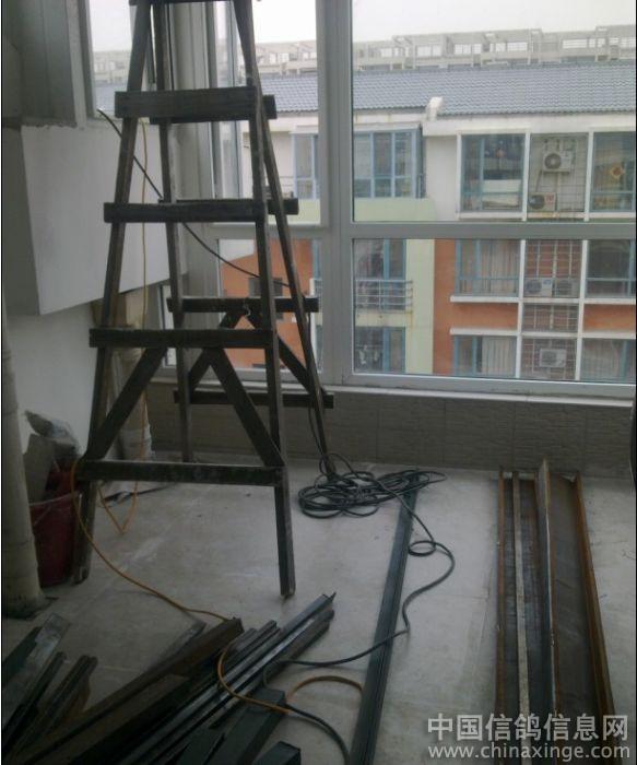 ���Ὠ�軶ӭ֧��(ͼ)