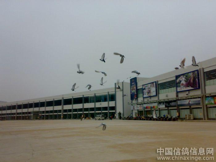 ��������ѵ�ż�(ͼ)