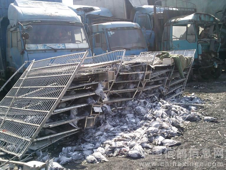 ������̨�����25�ղ���������Ǹ(ͼ)