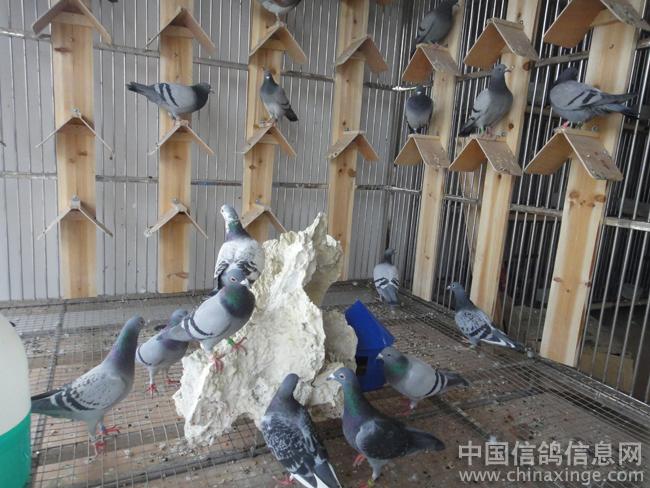 ������������(ͼ)