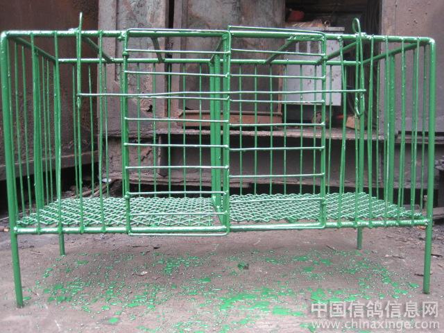 ���������(ͼ)