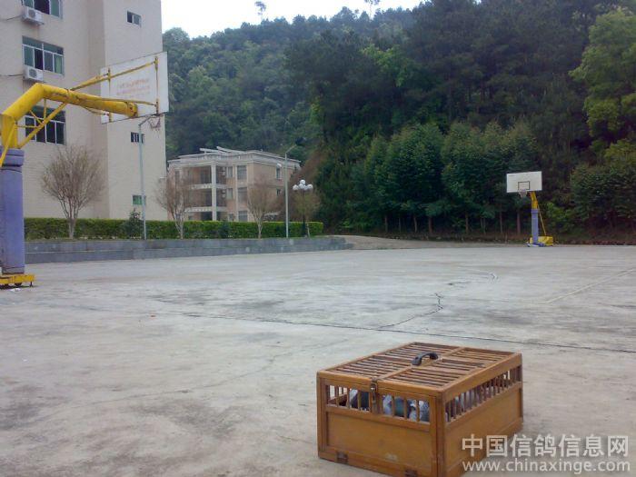 ����ѵ���������(ͼ)