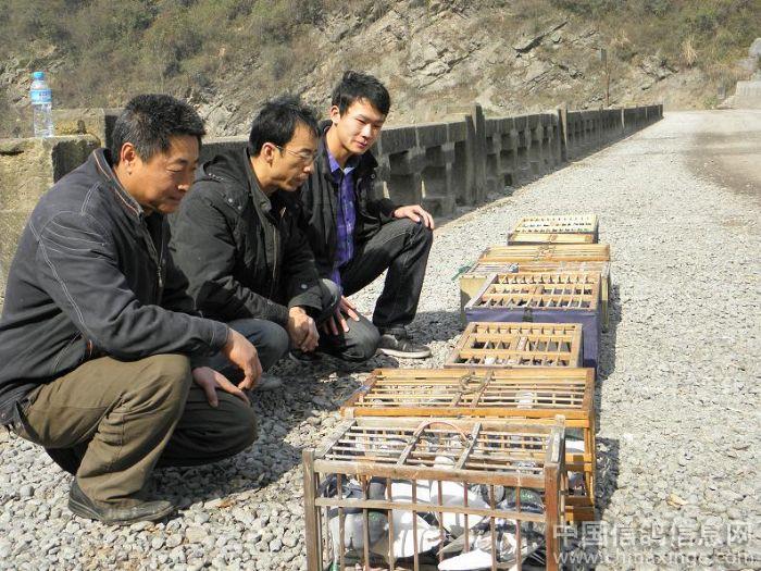 ɽ������30����ϼ�˽ѵ(ͼ)