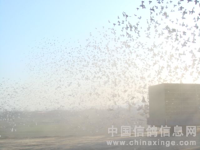 ����120����鳲����95% ��������20��Ԫ