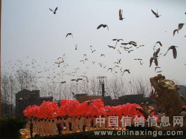 ���˹�����ԯ�Ƶ۴��Ųʸ�(ͼ)