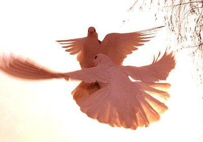 ��ͼ���ͣ����ޡ��롱