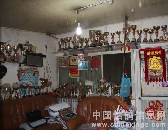 ���Ӳ���С��(ͼ)