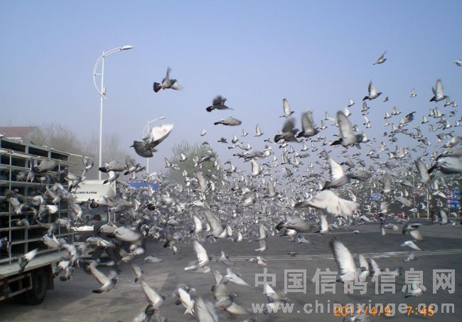 �����г���������9680��������7��45����