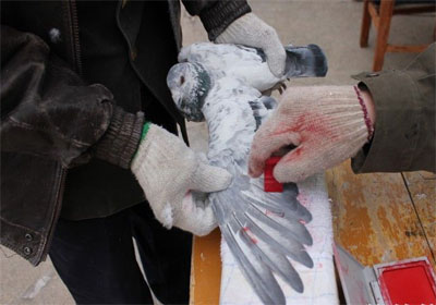 ͨ�ɸ�Э310����������������ս��