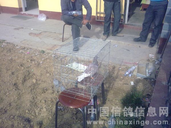 ����ȡ�������������շ��Ž��� ÿ�����915Ԫ