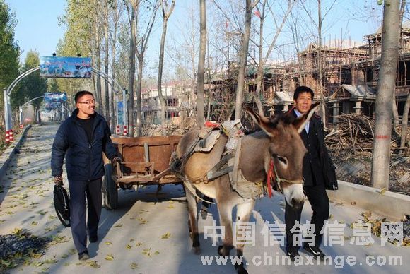 ����ȡ�������(͸�����������