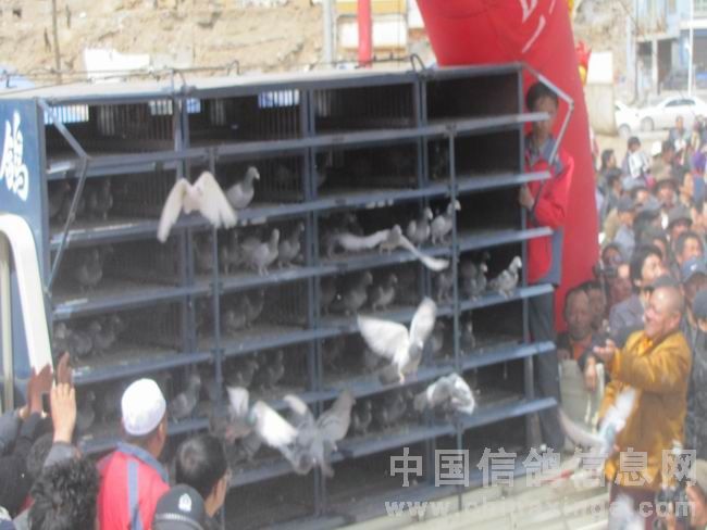 ��ս����3700�ף�������������ŷɼ�ʵ(ͼ)