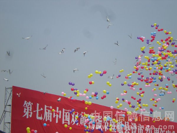 ���ո��ʸ�ЭΪ˫��Ѽ���ڷŲʸ�