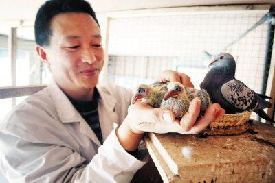 �ŷɴ����������ҵ��(ͼ)