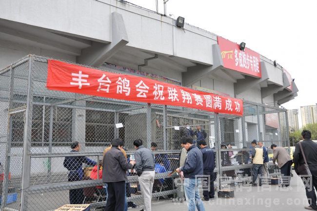 ����ʮ����550���������̨�����ʵ(ͼ)