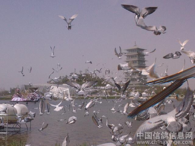 ������Э�Ųʸ�Ϊ����԰�ղ����ῪĻ����(ͼ)